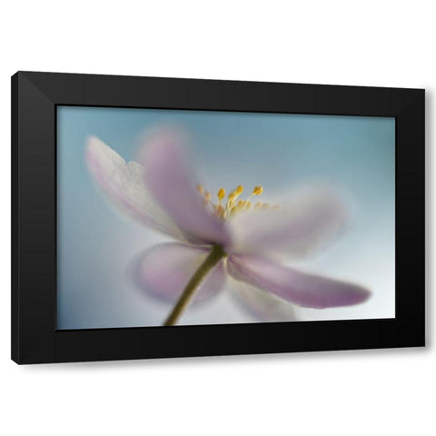 Against the sky Black Modern Wood Framed Art Print with Double Matting by Westum, Heidi