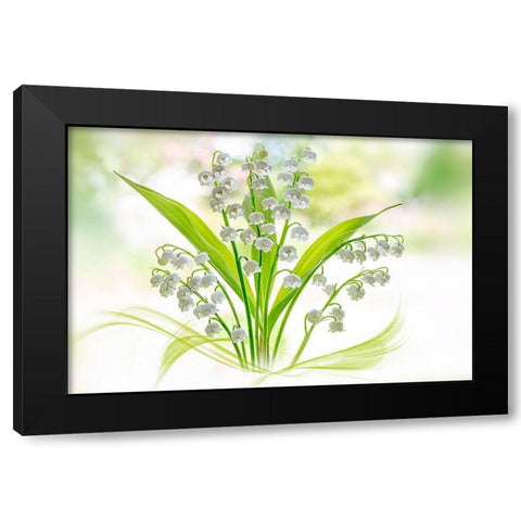 Lily of the valley Black Modern Wood Framed Art Print with Double Matting by Parker, Jacky