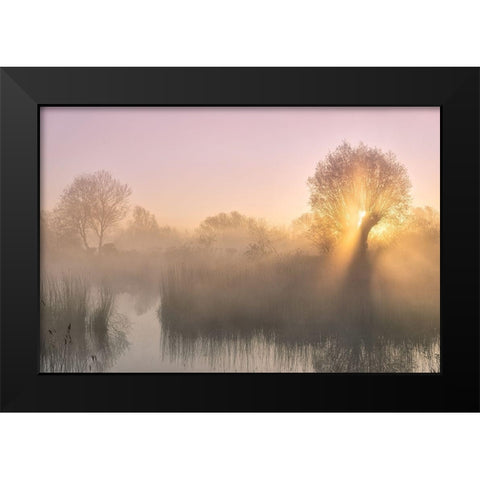 Silence Black Modern Wood Framed Art Print by Borggreve, Ellen