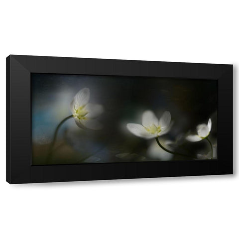 Light in the darkness Black Modern Wood Framed Art Print by Westum, Heidi