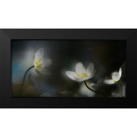 Light in the darkness Black Modern Wood Framed Art Print by Westum, Heidi