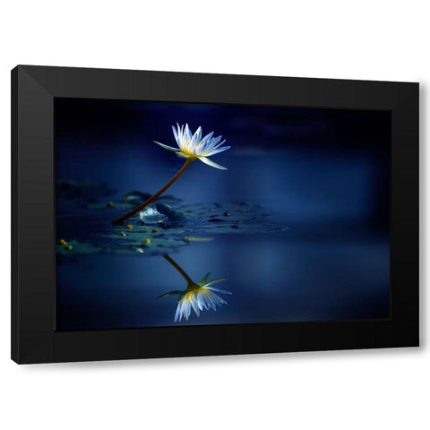 Reflection Black Modern Wood Framed Art Print by Suzuki, Takashi