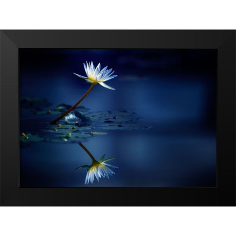 Reflection Black Modern Wood Framed Art Print by Suzuki, Takashi