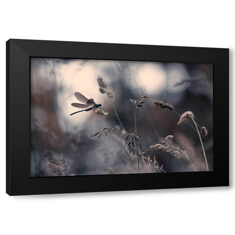 Le vent lemportera Black Modern Wood Framed Art Print with Double Matting by Bravin, Fabien