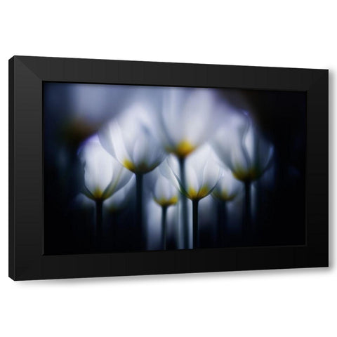 Overlapping white Black Modern Wood Framed Art Print with Double Matting by Suzuki, Takashi