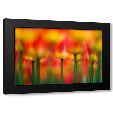 Side by side Black Modern Wood Framed Art Print with Double Matting by Suzuki, Takashi