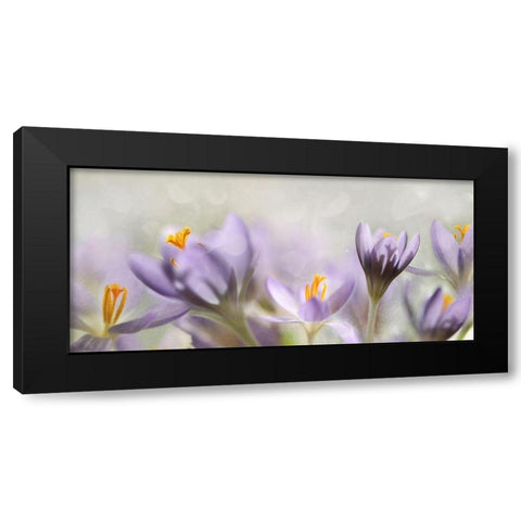 Spring flowers Black Modern Wood Framed Art Print by Westum, Heidi