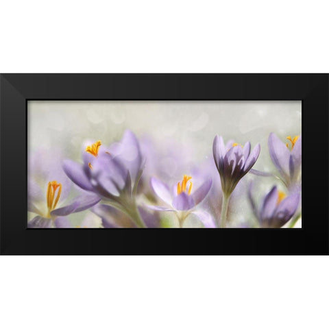 Spring flowers Black Modern Wood Framed Art Print by Westum, Heidi