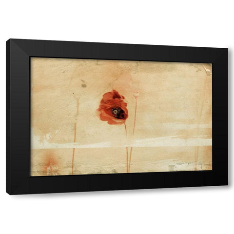 fragment Black Modern Wood Framed Art Print with Double Matting by Ignatova, Desislava