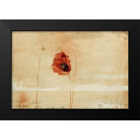 fragment Black Modern Wood Framed Art Print by Ignatova, Desislava