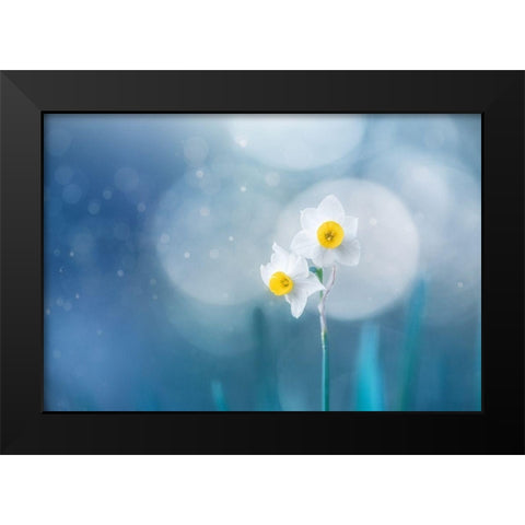 Spirit of moment Black Modern Wood Framed Art Print by Suzuki, Takashi