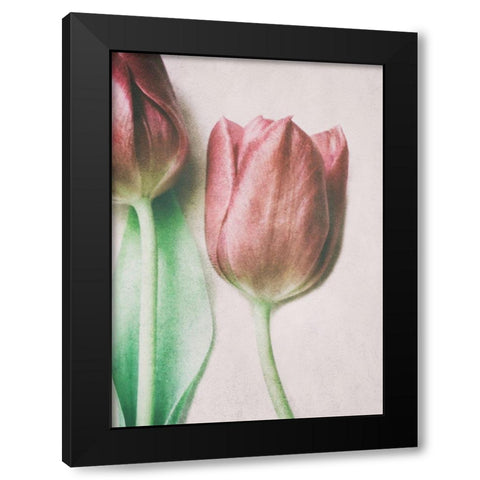 The Spring Lovers Black Modern Wood Framed Art Print with Double Matting by Devos, Delphine