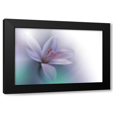 Beyond Black Modern Wood Framed Art Print with Double Matting by Nan, Juliana