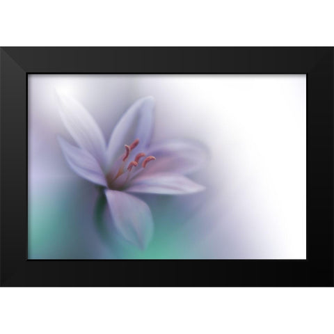 Beyond Black Modern Wood Framed Art Print by Nan, Juliana