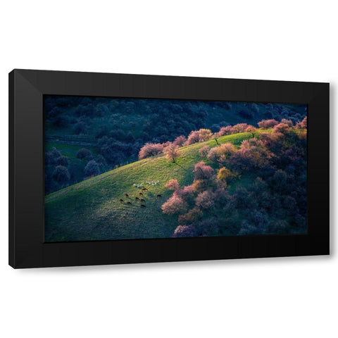 Sunset in the primitive wild apricot forest Black Modern Wood Framed Art Print with Double Matting by Zhu, Hua