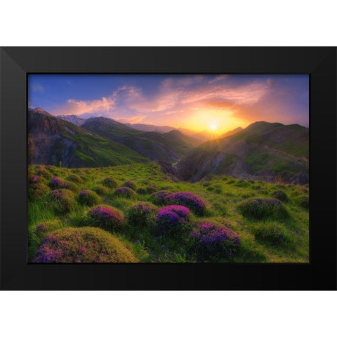 spring in show Black Modern Wood Framed Art Print by younesi, saeed