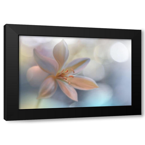 Metamorphosis Black Modern Wood Framed Art Print by Nan, Juliana