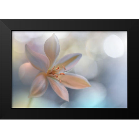 Metamorphosis Black Modern Wood Framed Art Print by Nan, Juliana