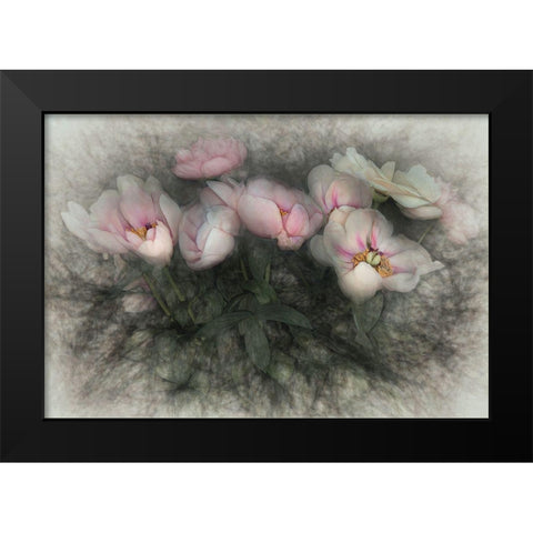 Charm of nature Black Modern Wood Framed Art Print by Claes, Gilbert