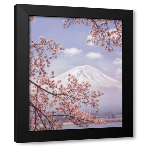 Mt.Fuji in the cherry blossoms Black Modern Wood Framed Art Print by Samejima, Makiko