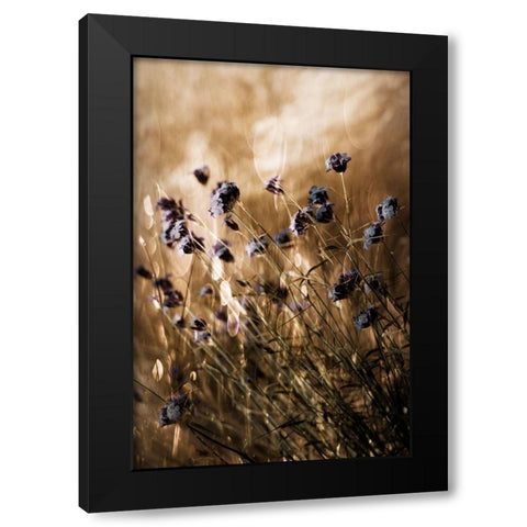 To Be Free in Light Black Modern Wood Framed Art Print by Devos, Delphine