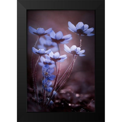 Keep tight Black Modern Wood Framed Art Print by Dvorak, Petra