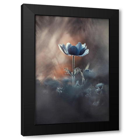 Out of Chaos Black Modern Wood Framed Art Print by Bravin, Fabien
