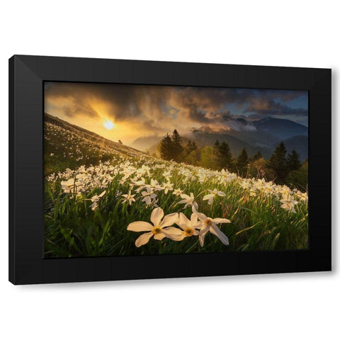 White carpet Black Modern Wood Framed Art Print with Double Matting by Komovec, Ales