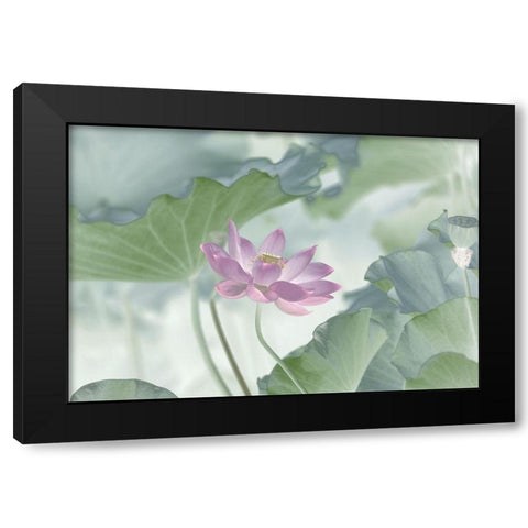 Lotus Black Modern Wood Framed Art Print by Lu, Binbin