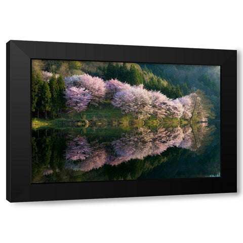 Sakura Black Modern Wood Framed Art Print with Double Matting by Ito, Tatsuki