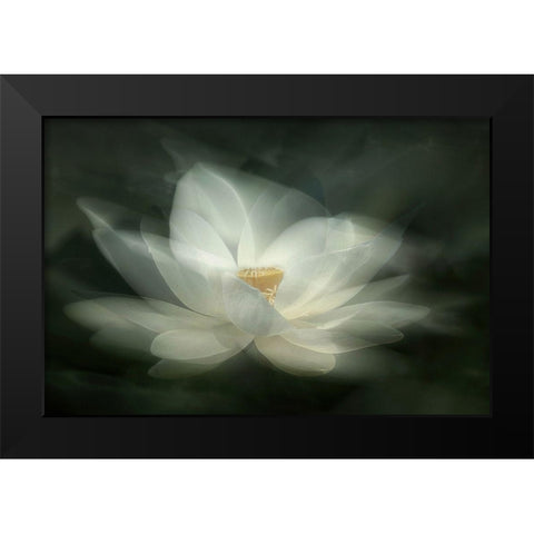 Swaying Black Modern Wood Framed Art Print by Zhao, Qing