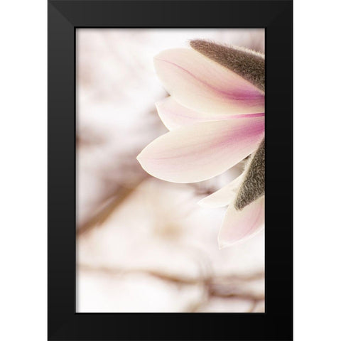 Almost spring Black Modern Wood Framed Art Print by Shumilova, Ludmila