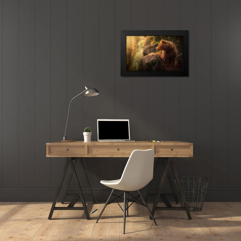 Brown bear during sunset Black Modern Wood Framed Art Print by Saavedra Ruiz, Sergio