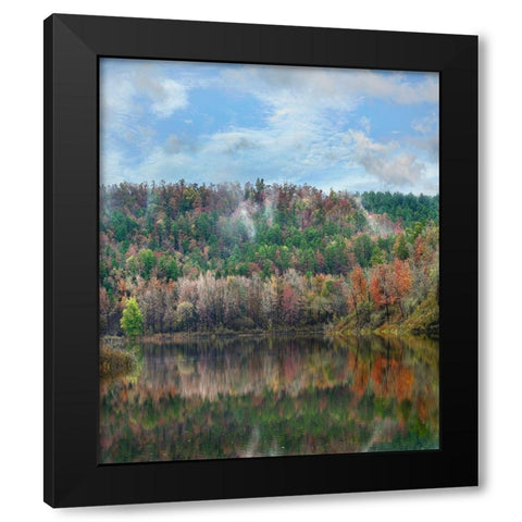 Cassatot Point-Gillham Lake-Arkansas Black Modern Wood Framed Art Print with Double Matting by Fitzharris, Tim