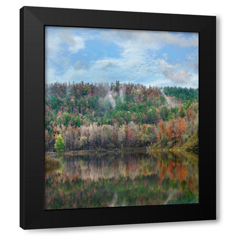Cassatot Point-Gillham Lake-Arkansas Black Modern Wood Framed Art Print by Fitzharris, Tim