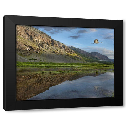 Dome Mountain and Animas River near Silverton-Colorado Black Modern Wood Framed Art Print by Fitzharris, Tim