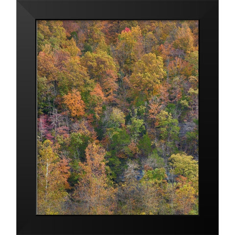 Boxley Valley-Buffalo National River-Arkansas Black Modern Wood Framed Art Print by Fitzharris, Tim