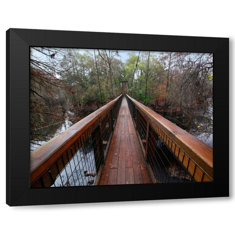 Santa Fe River-OLeno State Park-Florida Black Modern Wood Framed Art Print with Double Matting by Fitzharris, Tim