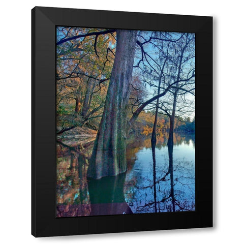 Suwanee River-Suwanee River State Park-Florida Black Modern Wood Framed Art Print with Double Matting by Fitzharris, Tim