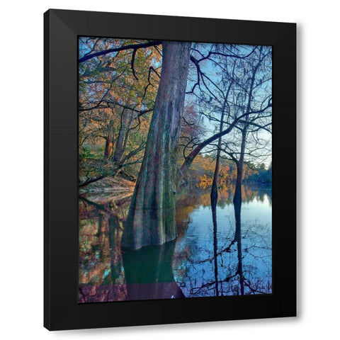 Suwanee River-Suwanee River State Park-Florida Black Modern Wood Framed Art Print by Fitzharris, Tim