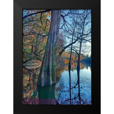 Suwanee River-Suwanee River State Park-Florida Black Modern Wood Framed Art Print by Fitzharris, Tim