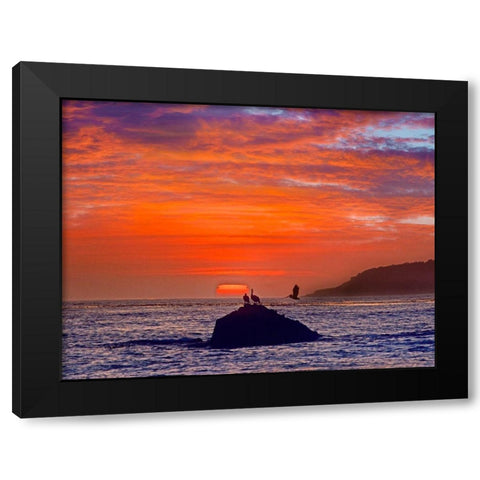 Big Sur Coast-California-USA Black Modern Wood Framed Art Print by Fitzharris, Tim