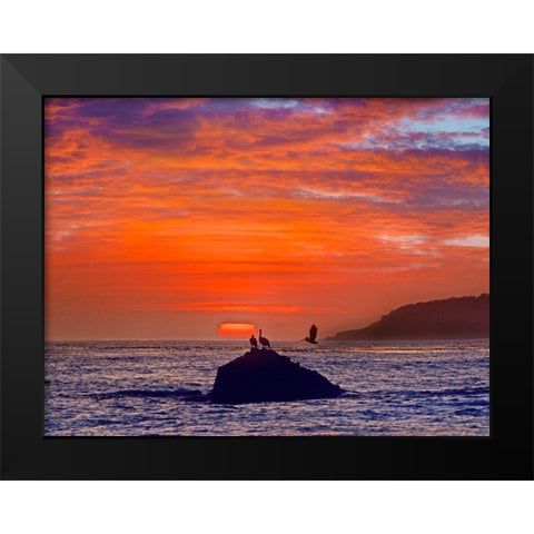 Big Sur Coast-California-USA Black Modern Wood Framed Art Print by Fitzharris, Tim