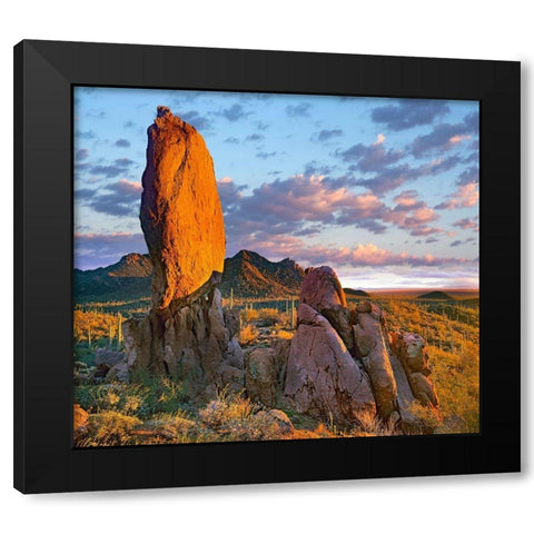 Tucson Mountains-Saguaro National Park-Arizona Black Modern Wood Framed Art Print by Fitzharris, Tim