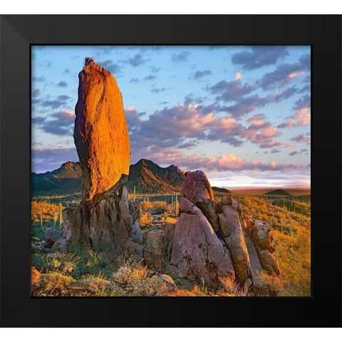 Tucson Mountains-Saguaro National Park-Arizona Black Modern Wood Framed Art Print by Fitzharris, Tim