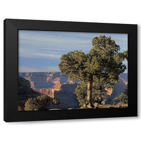 Hermits Rest-South Rim of Grand Canyon National Park-Arizona Black Modern Wood Framed Art Print with Double Matting by Fitzharris, Tim