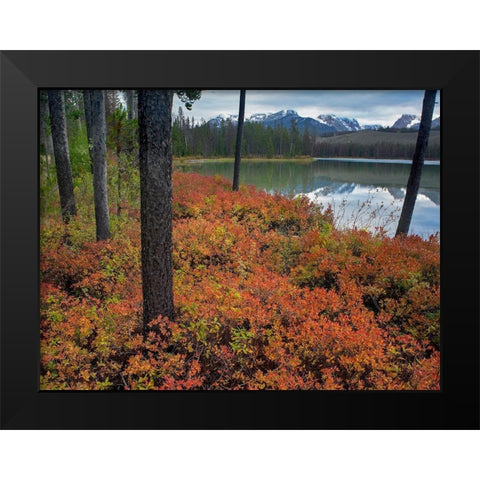 Sawtooth National Recreation Area-Idaho Black Modern Wood Framed Art Print by Fitzharris, Tim