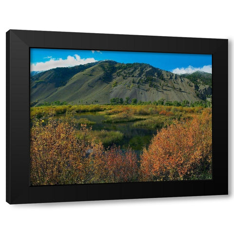 Boulder Mountains and Trail Creek beaver pond in autumn-Idaho Black Modern Wood Framed Art Print with Double Matting by Fitzharris, Tim