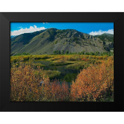 Boulder Mountains and Trail Creek beaver pond in autumn-Idaho Black Modern Wood Framed Art Print by Fitzharris, Tim