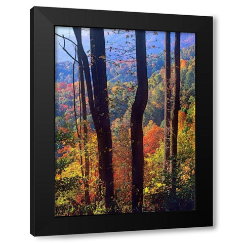 Blue Ridge Parkway near Deep Gap-North Carolina Black Modern Wood Framed Art Print with Double Matting by Fitzharris, Tim